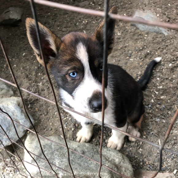 Scott - Picture 13 of 16